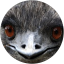 Herobrine 1826MC profile picture