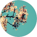 YC L profile picture