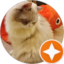 NFJ profile picture